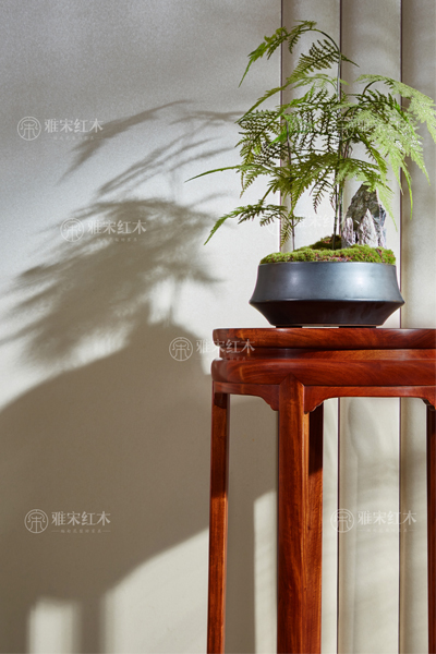 雅宋紅木
